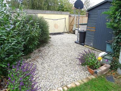 Picture 15